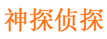 滨海侦探公司